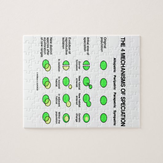 Puzzle Quatre mécanismes de Speciation (évolution) (Horizontal)