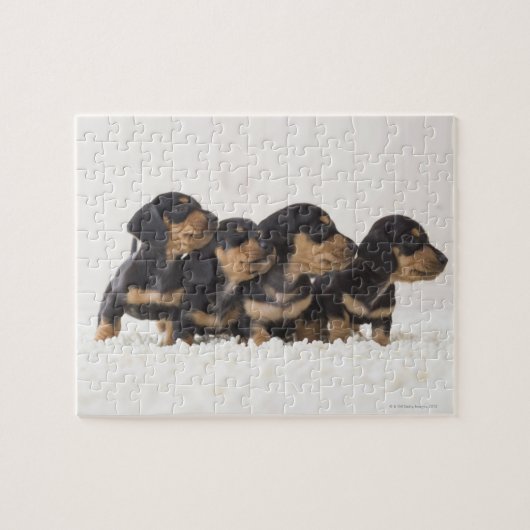 Puzzle Quatre Mini Dachshund (Horizontal)