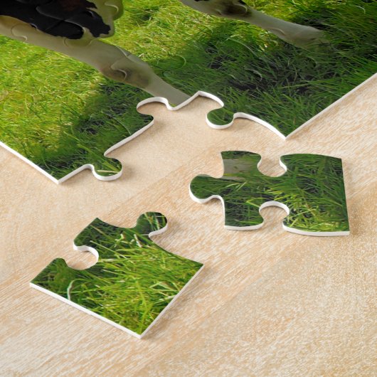 Puzzle Quatre vaches de causerie (Côté)