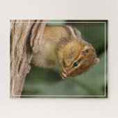 Puzzle Quelque chose sent Chipmunk (Horizontal)