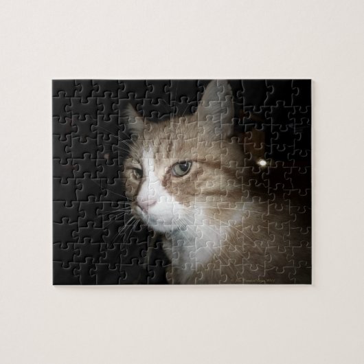 Puzzle Qu'est-ce que c'est ? (Horizontal)