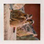 Puzzle Qu'est-ce que Meerkats (Horizontal)