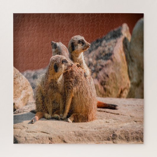 Puzzle Qu'est-ce que Meerkats (Vertical)