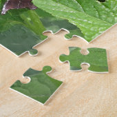 Puzzle Question Mark Butterfly on Lantana (Côté)