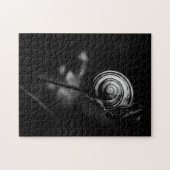 Puzzle queue de l'escargot (Horizontal)