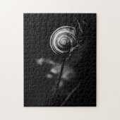 Puzzle queue de l'escargot (Vertical)