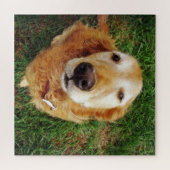 Puzzle Qui est un bon garçon ? (Horizontal)