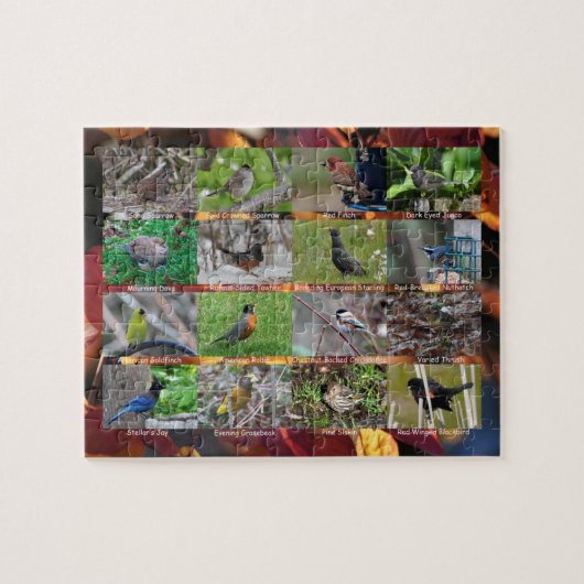 Puzzle Qui se ressemble s'assemble (Horizontal)