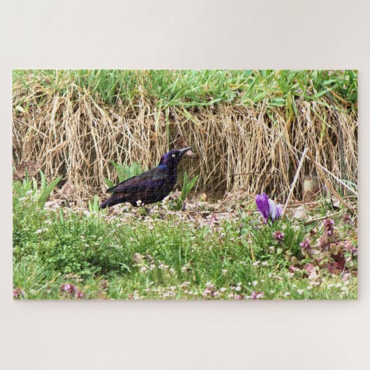 Puzzle Quiscale parmi les fleurs (Horizontal)