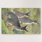 Puzzle QUOI DE PLUS ! 20 x 30 POUCES (Horizontal)