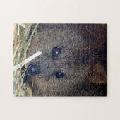 Puzzle Quokka (Horizontal)