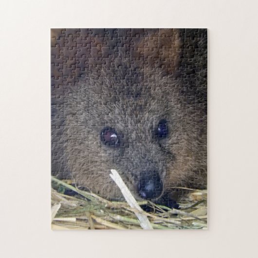Puzzle Quokka (Vertical)