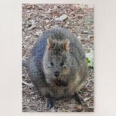 Puzzle Quokka (Vertical)