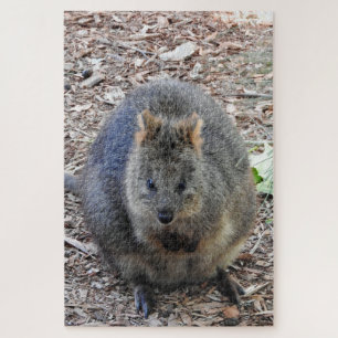 Puzzle Quokka