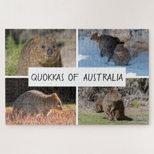 Puzzle Quokka 4 en 1 d'Australia Animal, 1014 pièces (Horizontal)