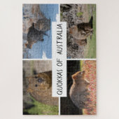 Puzzle Quokka 4 en 1 d'Australia Animal, 1014 pièces (Vertical)