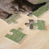 Puzzle Quokka d'Australie, 252 pièces (Côté)