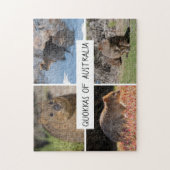 Puzzle Quokka d'Australie, 252 pièces (Vertical)