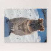 Puzzle Quokka sur la plage, 520 pièces (Horizontal)