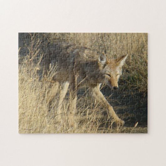 Puzzle R14 Coyote qui marche (Horizontal)