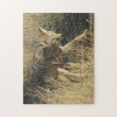 Puzzle R14 Coyote qui marche (Vertical)