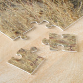 Puzzle R17 Coyote se grattant (Côté)