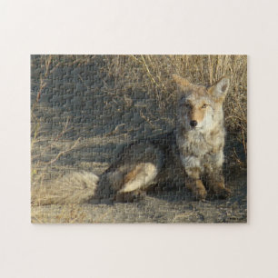 Puzzle R19 Coyote Couché