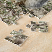 Puzzle R24 Coton-tail Rabbit (Côté)