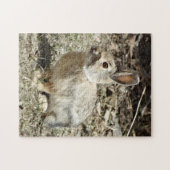 Puzzle R24 Coton-tail Rabbit (Horizontal)