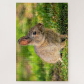 Puzzle Rabbit (Vertical)