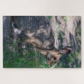 Puzzle Rabbit tranquille : Repos dans la nature (Horizontal)