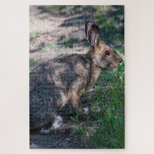 Puzzle Rabbit tranquille : Repos dans la nature (Vertical)