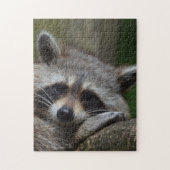 Puzzle Raccoon (Vertical)
