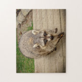 Puzzle Raccoon avec puce (Vertical)