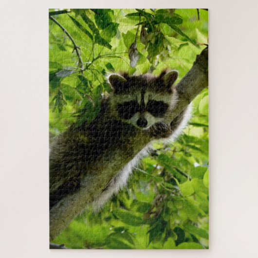 Puzzle Raccoon dans Green Tree Cute gris masqué raccoon (Vertical)