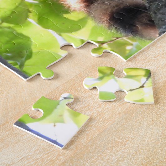 Puzzle Raccoon dans un arbre (Côté)