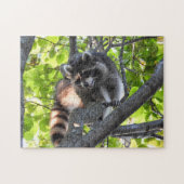 Puzzle Raccoon dans un arbre (Horizontal)