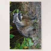 Puzzle Raccoon nord-américain mignon (Vertical)