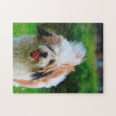 Puzzle Race de chien Lhasa Apso. (Horizontal)