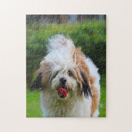 Puzzle Race de chien Lhasa Apso. (Vertical)
