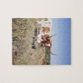 Puzzle Race du Texas Longhorn (photo) (Horizontal)