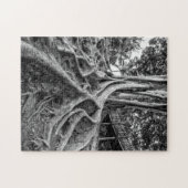 Puzzle Racines massives d'un arbre à caoutchouc (Horizontal)