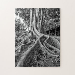 Puzzle Racines massives d'un arbre à caoutchouc