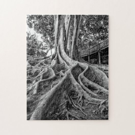 Puzzle Racines massives d'un arbre à caoutchouc (Vertical)