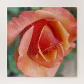 Puzzle Radiant Rose – Petals in Harmony (Horizontal)