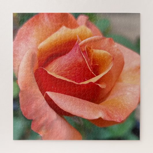 Puzzle Radiant Rose – Petals in Harmony (Vertical)