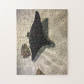 Puzzle Raie pastenague (Vertical)