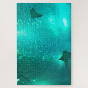 Puzzle Raies manta dans un aquarium.
