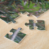 Puzzle Rainbow Lorikeet (Côté)