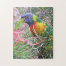 Puzzle Rainbow Lorikeet